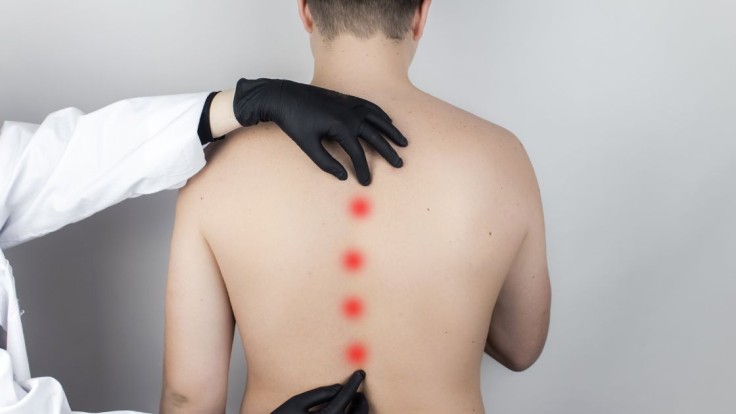 A Comprehensive Guide to Spinal Health Australia's Services: Your Solution to Spinal Wellness - image 3